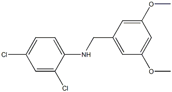 2,4-dichloro-N-[(3,5-dimethoxyphenyl)methyl]aniline 구조식 이미지