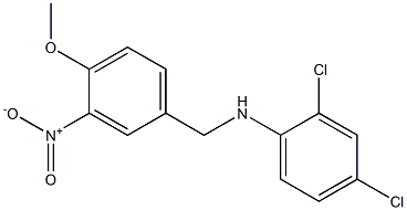 2,4-dichloro-N-[(4-methoxy-3-nitrophenyl)methyl]aniline Structure