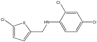 2,4-dichloro-N-[(5-chlorothiophen-2-yl)methyl]aniline 구조식 이미지