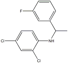2,4-dichloro-N-[1-(3-fluorophenyl)ethyl]aniline Structure