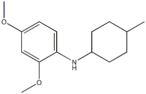 2,4-dimethoxy-N-(4-methylcyclohexyl)aniline 구조식 이미지