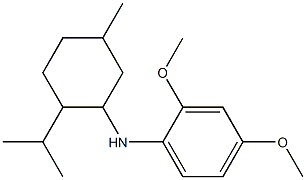 2,4-dimethoxy-N-[5-methyl-2-(propan-2-yl)cyclohexyl]aniline 구조식 이미지