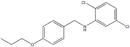 2,5-dichloro-N-[(4-propoxyphenyl)methyl]aniline 구조식 이미지