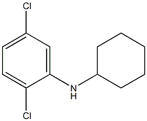 2,5-dichloro-N-cyclohexylaniline 구조식 이미지