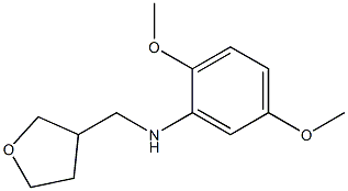 2,5-dimethoxy-N-(oxolan-3-ylmethyl)aniline Structure