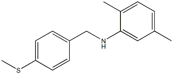 2,5-dimethyl-N-{[4-(methylsulfanyl)phenyl]methyl}aniline 구조식 이미지