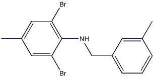 2,6-dibromo-4-methyl-N-[(3-methylphenyl)methyl]aniline 구조식 이미지