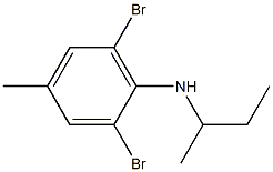 2,6-dibromo-N-(butan-2-yl)-4-methylaniline 구조식 이미지