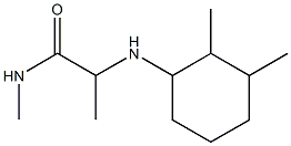 2-[(2,3-dimethylcyclohexyl)amino]-N-methylpropanamide 구조식 이미지
