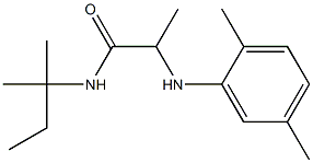 2-[(2,5-dimethylphenyl)amino]-N-(2-methylbutan-2-yl)propanamide 구조식 이미지