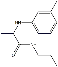 2-[(3-methylphenyl)amino]-N-propylpropanamide 구조식 이미지