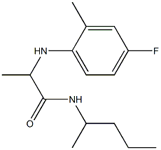 2-[(4-fluoro-2-methylphenyl)amino]-N-(pentan-2-yl)propanamide Structure