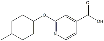 2-[(4-methylcyclohexyl)oxy]pyridine-4-carboxylic acid Structure