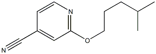 2-[(4-methylpentyl)oxy]pyridine-4-carbonitrile Structure
