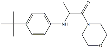 2-[(4-tert-butylphenyl)amino]-1-(morpholin-4-yl)propan-1-one 구조식 이미지