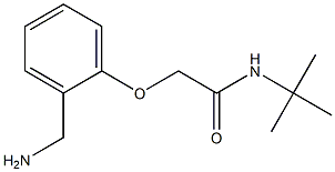2-[2-(aminomethyl)phenoxy]-N-(tert-butyl)acetamide 구조식 이미지