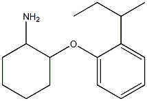 2-[2-(butan-2-yl)phenoxy]cyclohexan-1-amine Structure