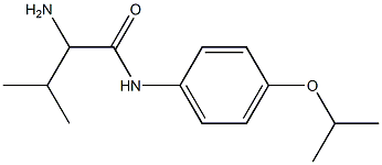 2-amino-3-methyl-N-[4-(propan-2-yloxy)phenyl]butanamide 구조식 이미지