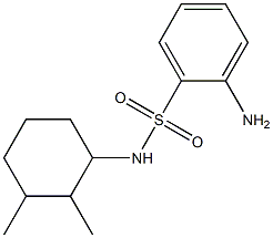 2-amino-N-(2,3-dimethylcyclohexyl)benzenesulfonamide 구조식 이미지