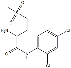 2-amino-N-(2,4-dichlorophenyl)-4-methanesulfonylbutanamide 구조식 이미지