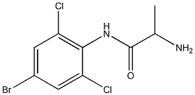 2-amino-N-(4-bromo-2,6-dichlorophenyl)propanamide Structure