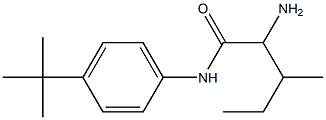 2-amino-N-(4-tert-butylphenyl)-3-methylpentanamide Structure
