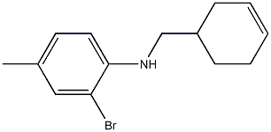 2-bromo-N-(cyclohex-3-en-1-ylmethyl)-4-methylaniline Structure