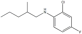 2-chloro-4-fluoro-N-(2-methylpentyl)aniline 구조식 이미지