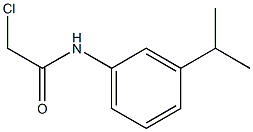 2-chloro-N-[3-(propan-2-yl)phenyl]acetamide Structure