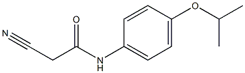 2-cyano-N-[4-(propan-2-yloxy)phenyl]acetamide Structure