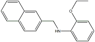 2-ethoxy-N-(naphthalen-2-ylmethyl)aniline Structure