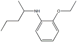 2-ethoxy-N-(pentan-2-yl)aniline 구조식 이미지