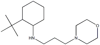 2-tert-butyl-N-[3-(morpholin-4-yl)propyl]cyclohexan-1-amine Structure