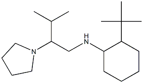 2-tert-butyl-N-[3-methyl-2-(pyrrolidin-1-yl)butyl]cyclohexan-1-amine 구조식 이미지