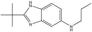 2-tert-butyl-N-propyl-1H-1,3-benzodiazol-5-amine Structure