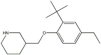 3-(2-tert-butyl-4-ethylphenoxymethyl)piperidine 구조식 이미지