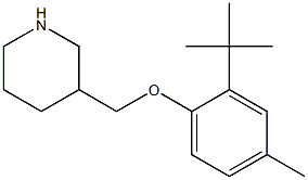 3-(2-tert-butyl-4-methylphenoxymethyl)piperidine Structure