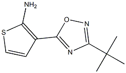 3-(3-tert-butyl-1,2,4-oxadiazol-5-yl)thiophen-2-amine Structure