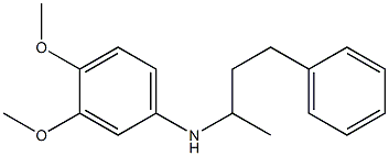 3,4-dimethoxy-N-(4-phenylbutan-2-yl)aniline 구조식 이미지