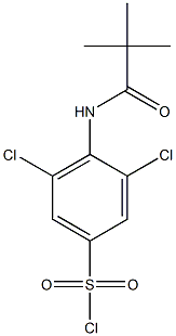 3,5-dichloro-4-(2,2-dimethylpropanamido)benzene-1-sulfonyl chloride Structure