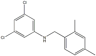 3,5-dichloro-N-[(2,4-dimethylphenyl)methyl]aniline 구조식 이미지