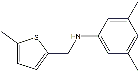 3,5-dimethyl-N-[(5-methylthiophen-2-yl)methyl]aniline 구조식 이미지