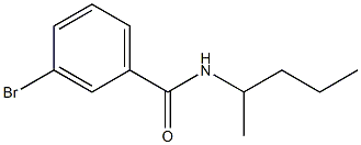 3-bromo-N-(1-methylbutyl)benzamide 구조식 이미지