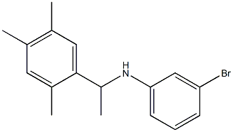 3-bromo-N-[1-(2,4,5-trimethylphenyl)ethyl]aniline Structure