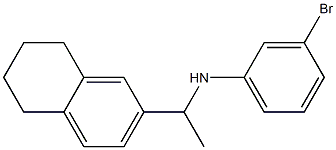 3-bromo-N-[1-(5,6,7,8-tetrahydronaphthalen-2-yl)ethyl]aniline 구조식 이미지