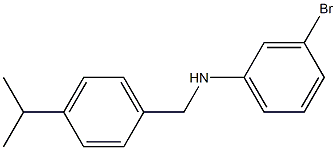 3-bromo-N-{[4-(propan-2-yl)phenyl]methyl}aniline 구조식 이미지