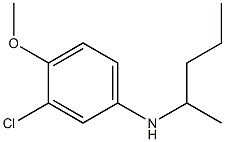 3-chloro-4-methoxy-N-(pentan-2-yl)aniline Structure