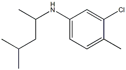 3-chloro-4-methyl-N-(4-methylpentan-2-yl)aniline 구조식 이미지