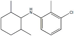 3-chloro-N-(2,6-dimethylcyclohexyl)-2-methylaniline 구조식 이미지