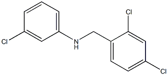 3-chloro-N-[(2,4-dichlorophenyl)methyl]aniline Structure